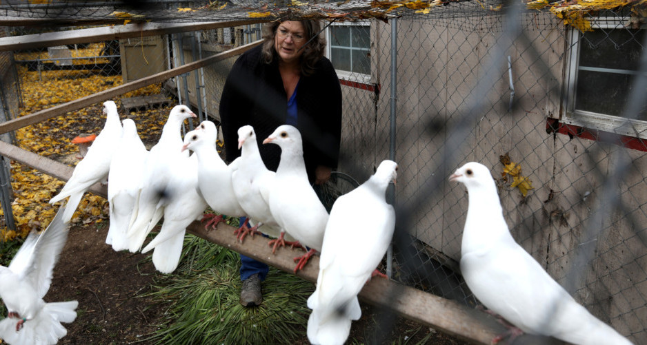 White Dove Release Business Is Flying High In Michigan Working Woman